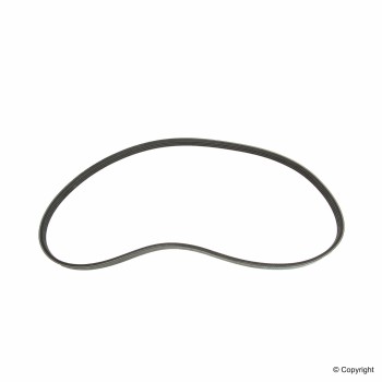 Serpentine Belt