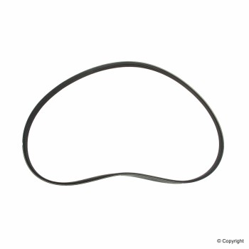 Serpentine Belt