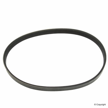 Serpentine Belt