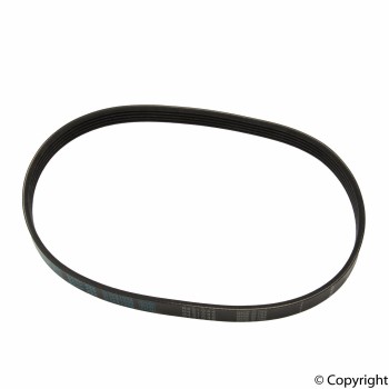 Serpentine Belt