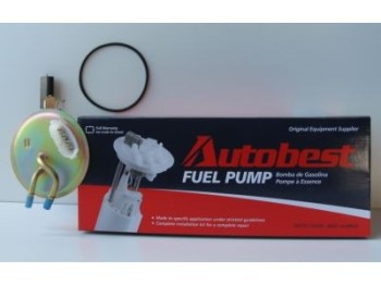 Fuel Pump and Sender Assembly