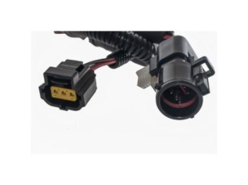 Fuel Pump Module Assembly