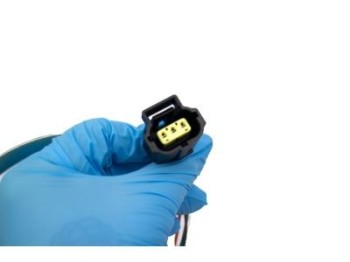 Fuel Pump and Sender Assembly