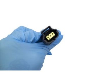 Fuel Pump and Sender Assembly