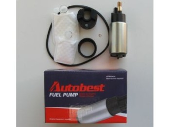 Fuel Pump and Strainer Set