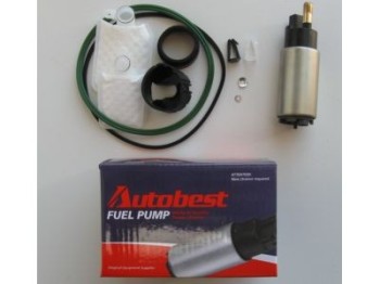 Fuel Pump and Strainer Set