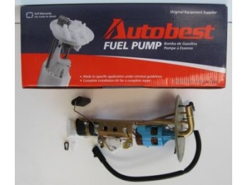 Fuel Pump and Sender Assembly