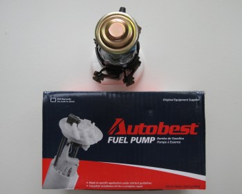 Fuel Pump and Strainer Set