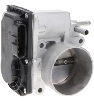 Fuel Injection Throttle Body