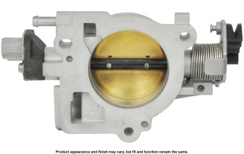 Fuel Injection Throttle Body