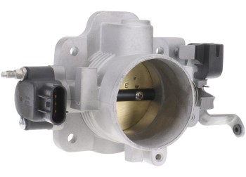 Fuel Injection Throttle Body