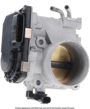 Fuel Injection Throttle Body