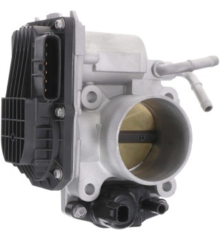 Fuel Injection Throttle Body