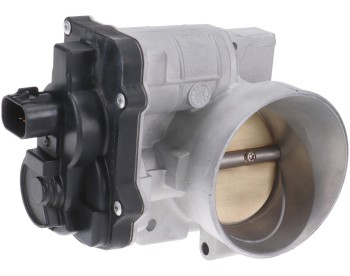 Fuel Injection Throttle Body