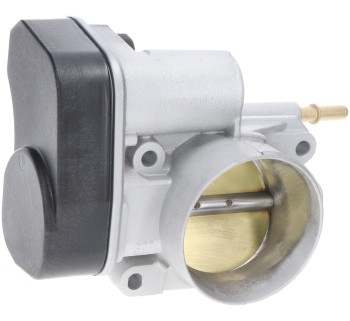 Fuel Injection Throttle Body