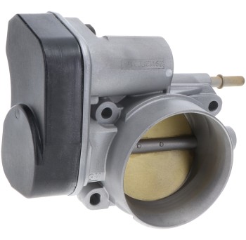Fuel Injection Throttle Body