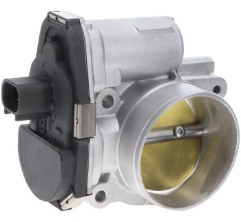 Fuel Injection Throttle Body