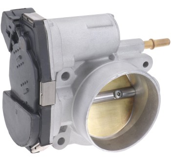Fuel Injection Throttle Body