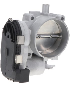 Fuel Injection Throttle Body