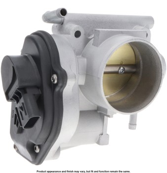 Fuel Injection Throttle Body