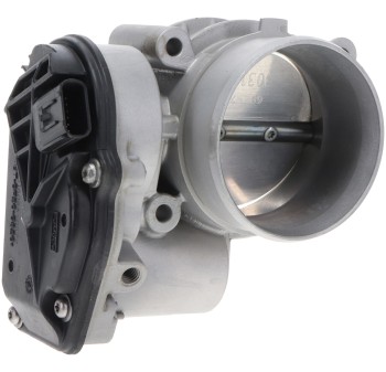 Fuel Injection Throttle Body