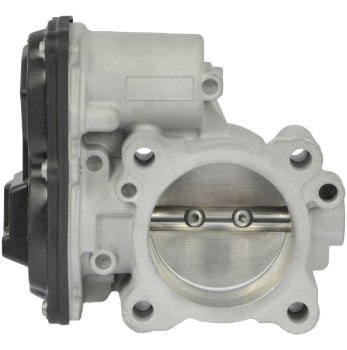 Fuel Injection Throttle Body