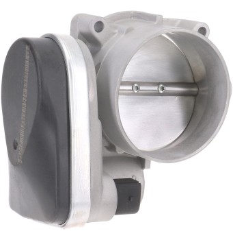 Fuel Injection Throttle Body