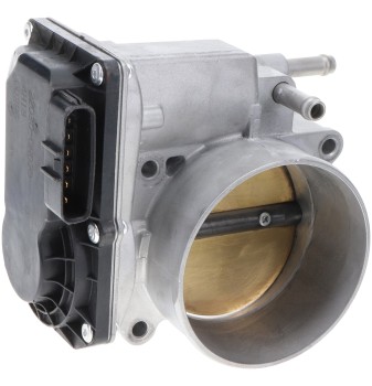 Fuel Injection Throttle Body