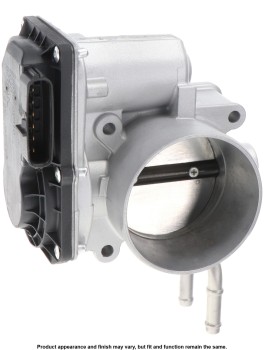 Fuel Injection Throttle Body