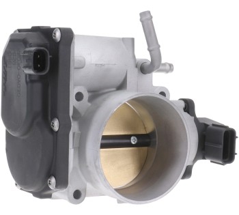 Fuel Injection Throttle Body