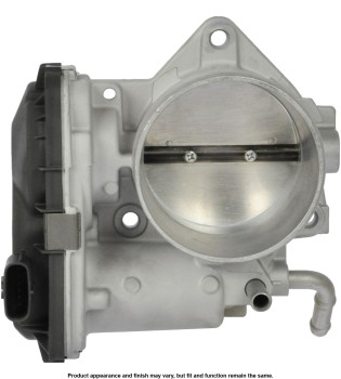 Fuel Injection Throttle Body