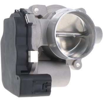 Fuel Injection Throttle Body