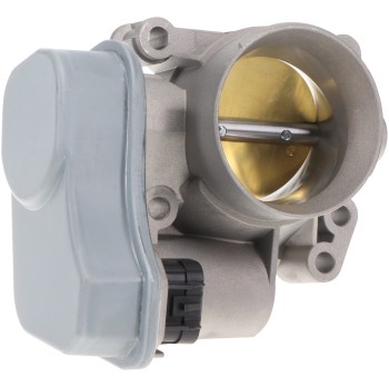 Fuel Injection Throttle Body