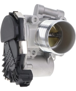 Fuel Injection Throttle Body