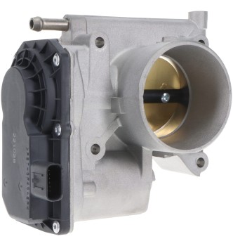 Fuel Injection Throttle Body