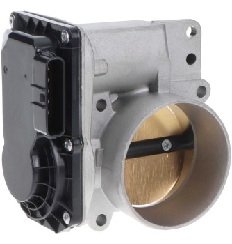Fuel Injection Throttle Body