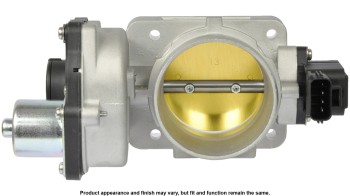 Fuel Injection Throttle Body