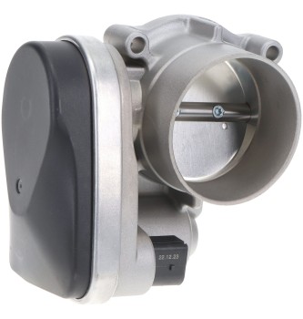Fuel Injection Throttle Body
