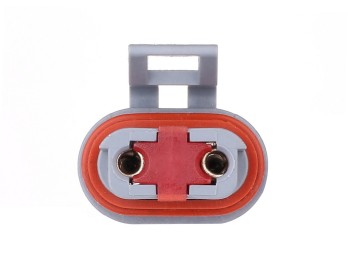 Window Motor and Regulator Assembly