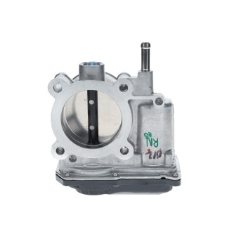 Fuel Injection Throttle Body