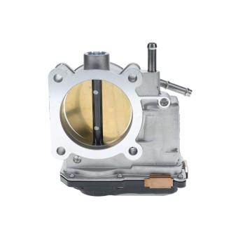 Fuel Injection Throttle Body