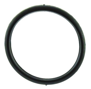 Engine Coolant Thermostat Gasket