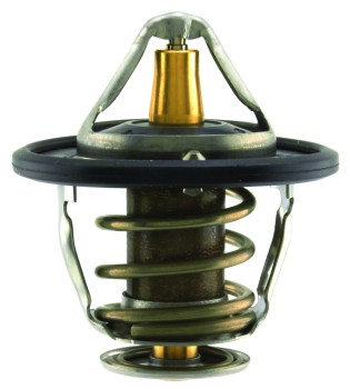 Engine Coolant Thermostat