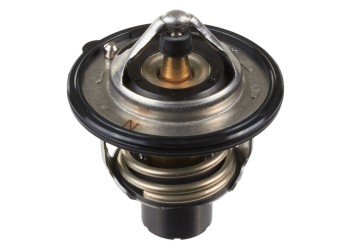 Engine Coolant Thermostat