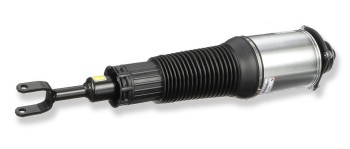 Air Suspension Strut