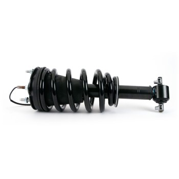 Suspension Strut and Coil Spring Assembly