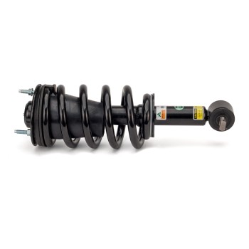 Suspension Strut and Coil Spring Assembly