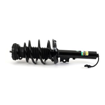 Suspension Strut and Coil Spring Assembly