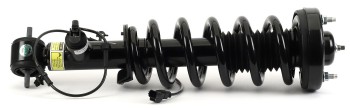 Suspension Strut and Coil Spring Assembly