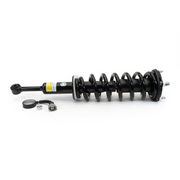 Suspension Strut and Coil Spring Assembly